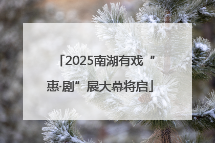 2025南湖有戏“惠·剧”展大幕将启